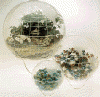 SCplant-it-earth.gif (64243 bytes)