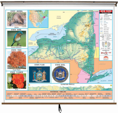 New York Primary Wall Map