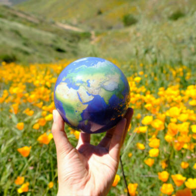 globe in nature