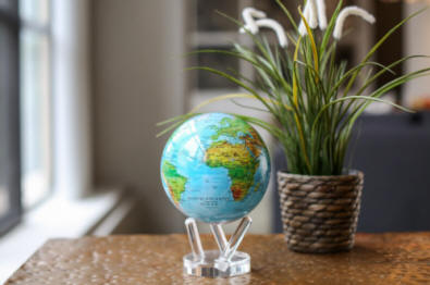 MOVA rotating globe next to plant