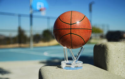 Basketball MOVA Globe